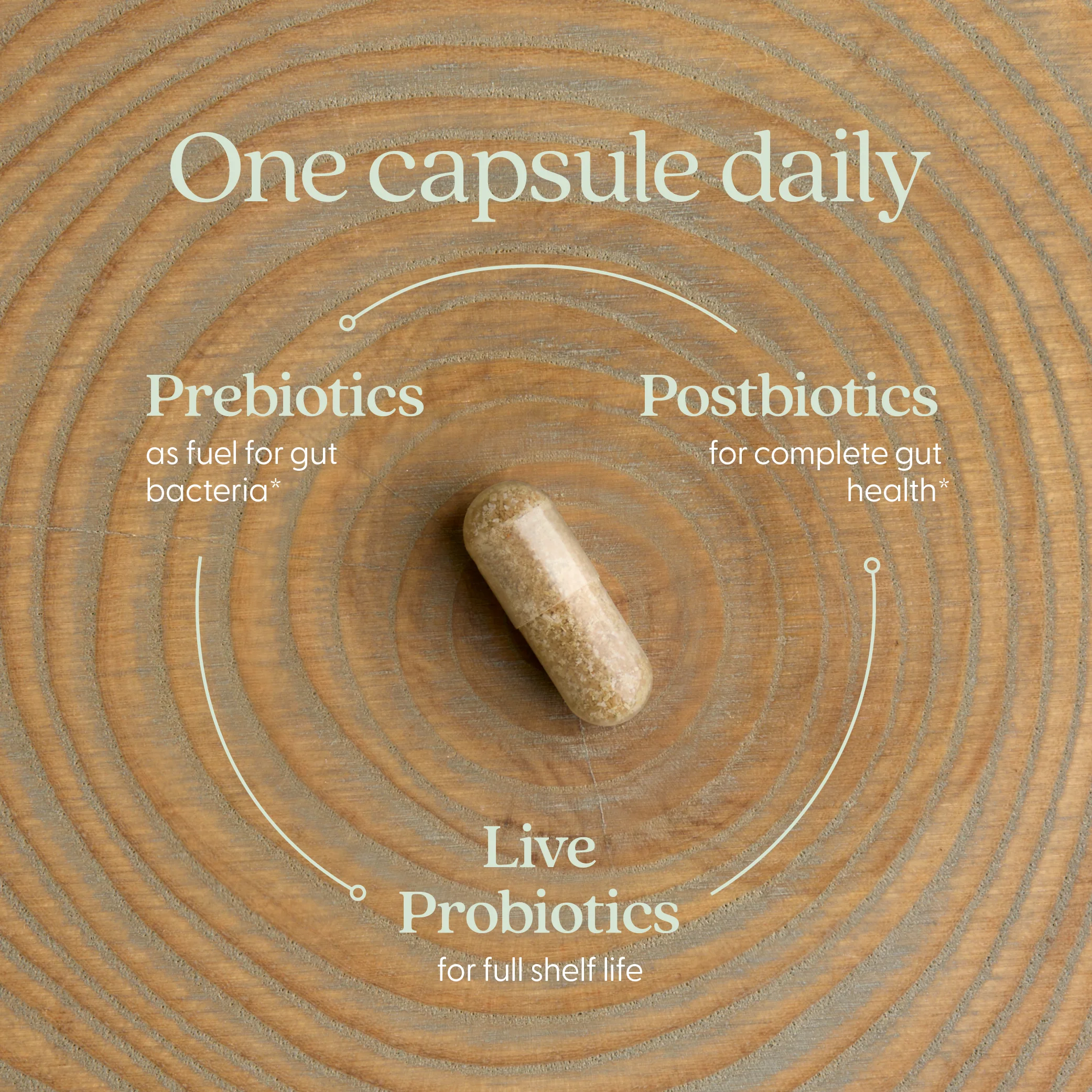 All-Flora™ Probiotic - Image 4