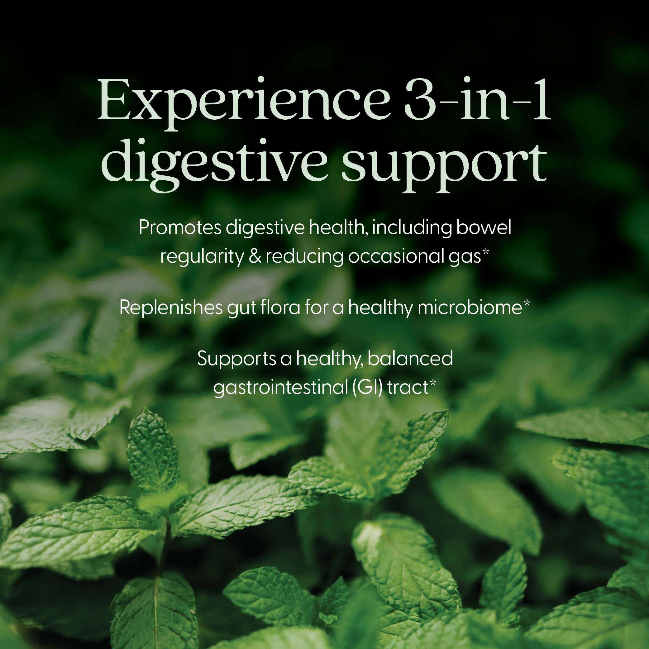 All-Flora™ Probiotic - Image 5