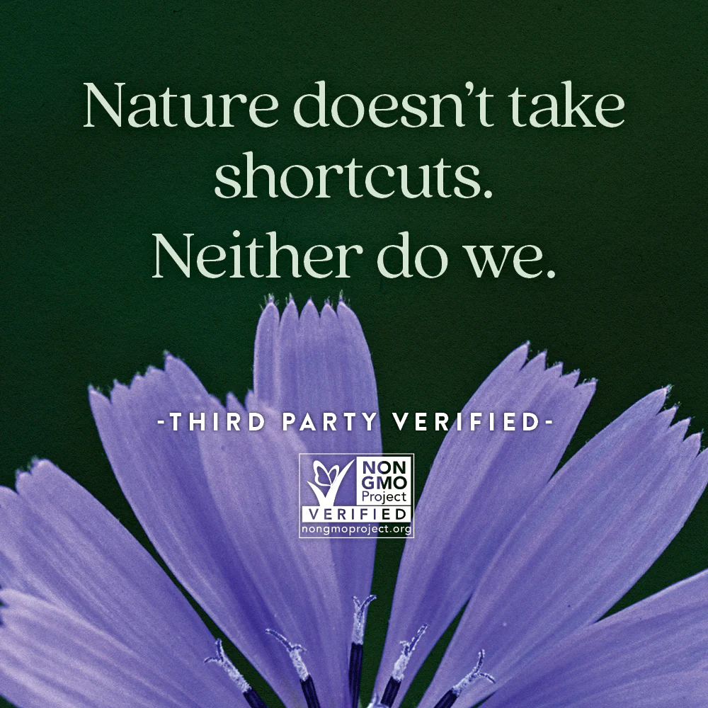 All-Flora™ Probiotic + Prebiotic Gummies - Image 4