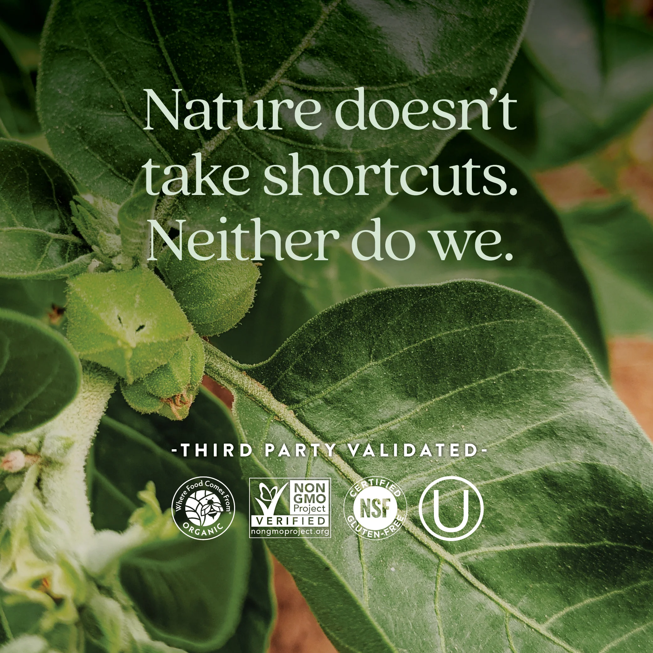 Ashwagandha Force™ - Image 5