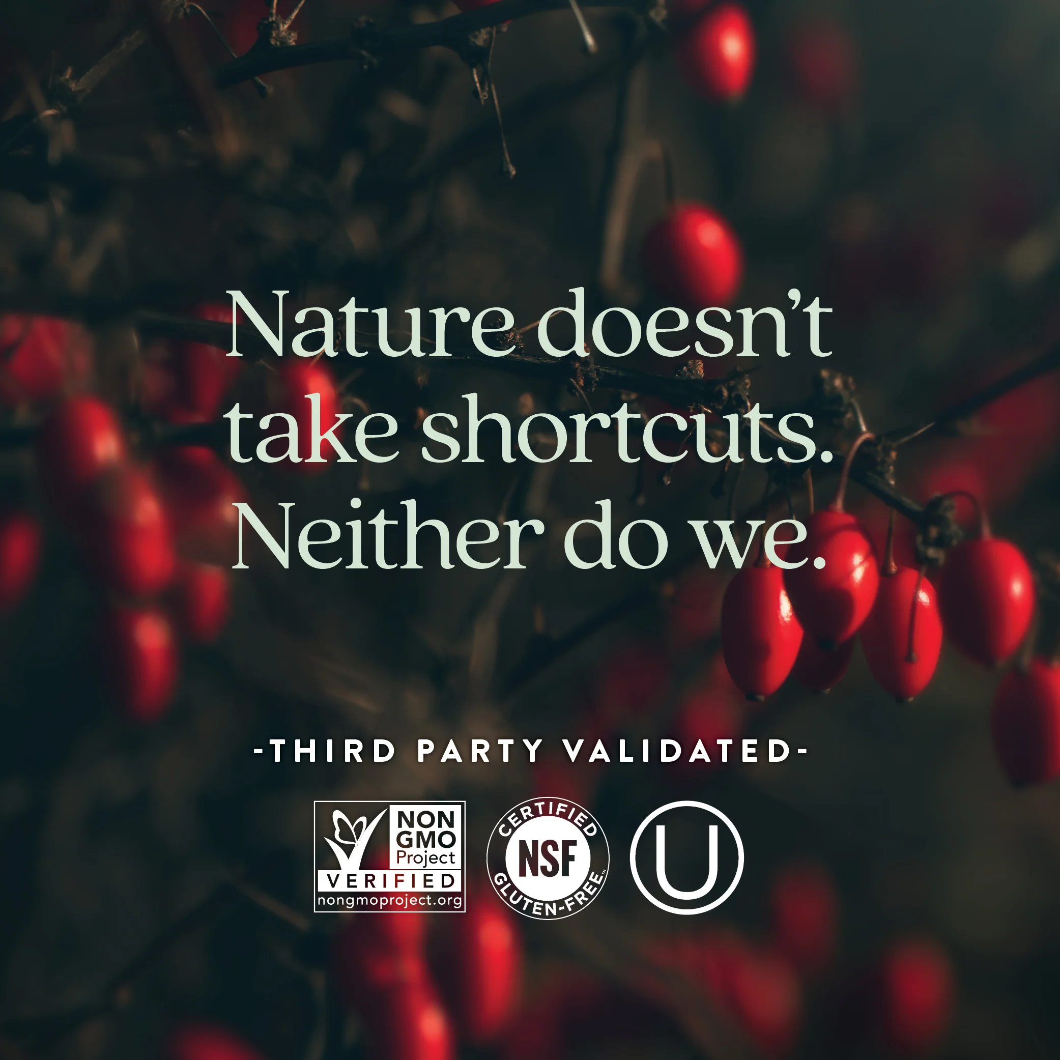 Berberine 1000 mg (per 2-tablet serving) - Image 5