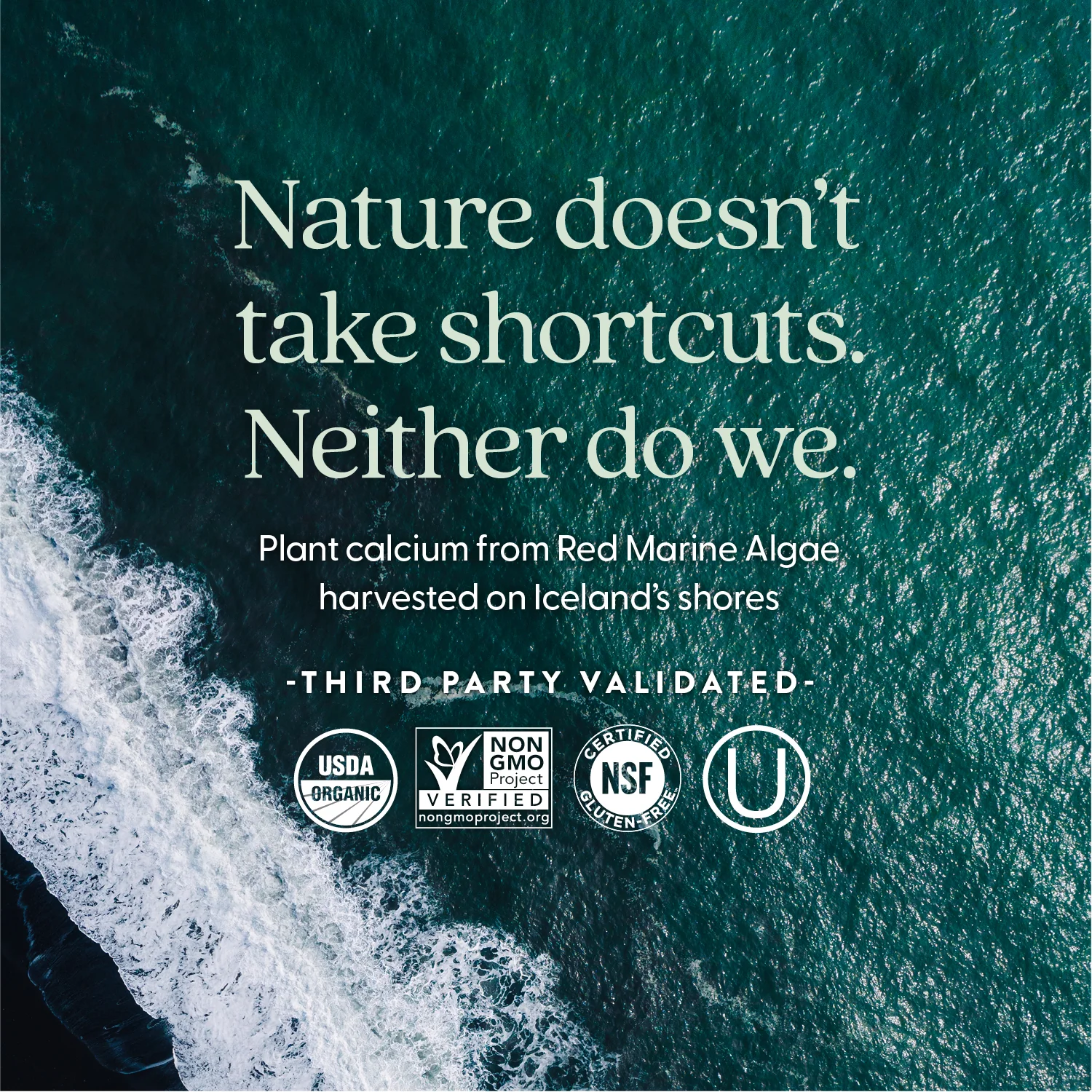 Bone Strength Take Care™ Slim Tablets - Image 6