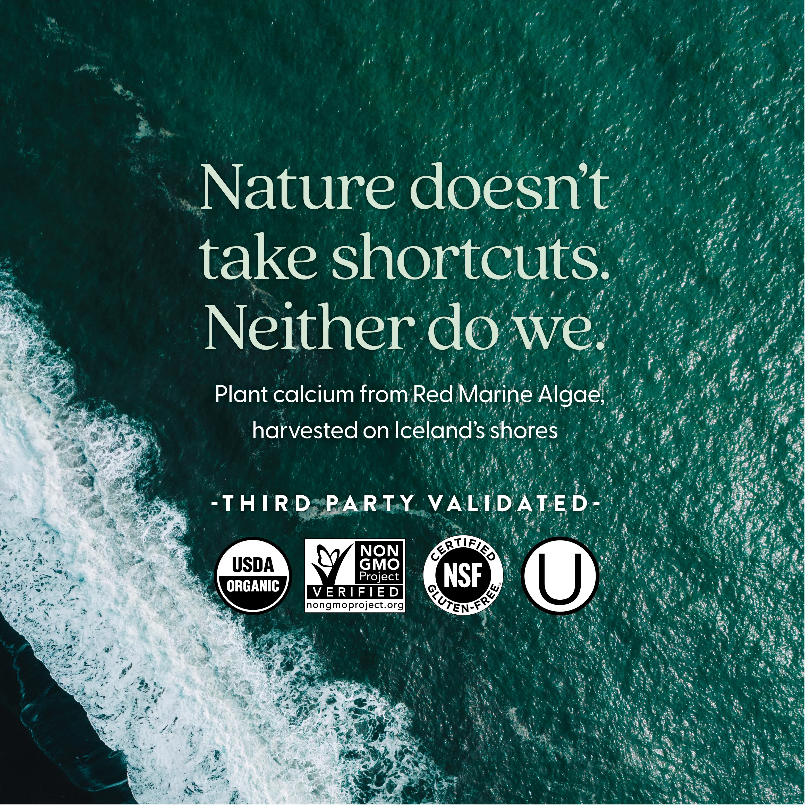 Organic Plant Calcium: Women Under 40 - Image 5