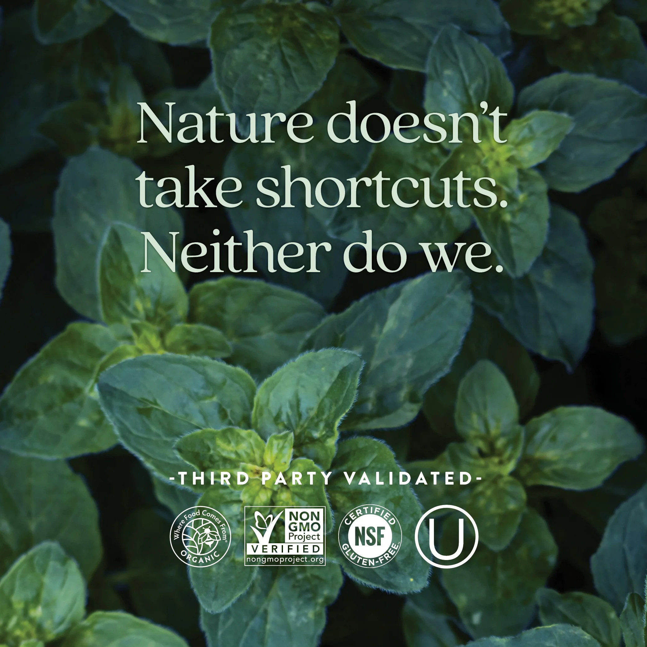 Every Man™'s One Daily 40+ Multivitamin - Image 5