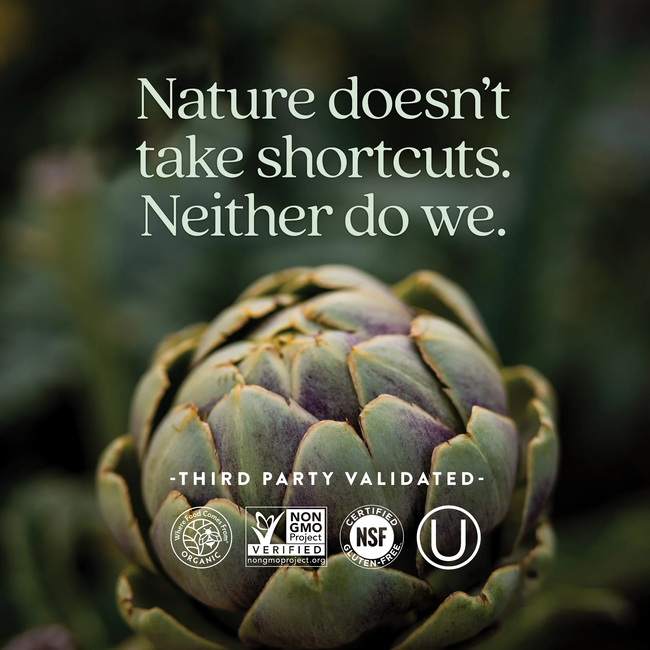 Every Man™'s One Daily 55+ Multivitamin - Image 5