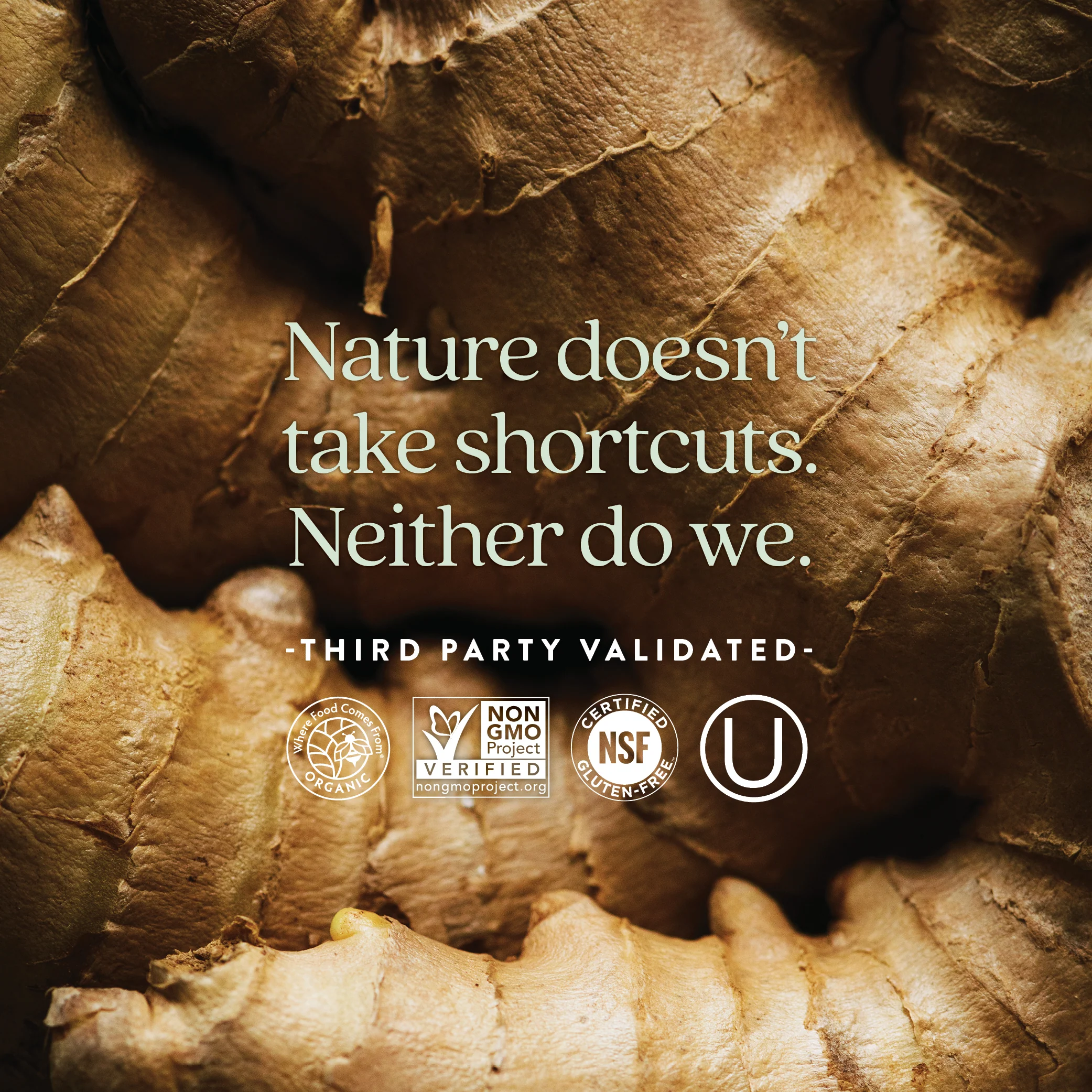 Every Man™'s One Daily Multivitamin - Image 5