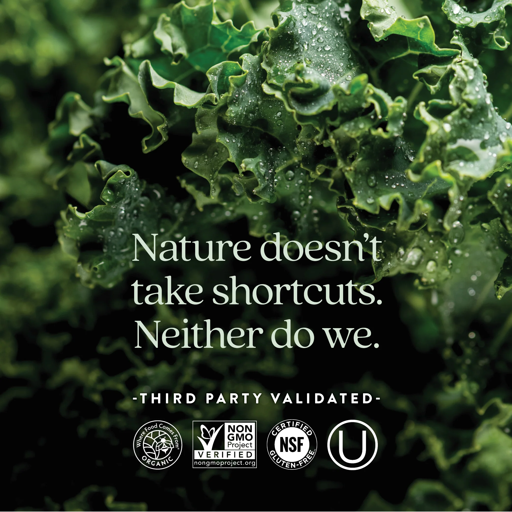 Every Woman™'s One Daily 40+ Multivitamin - Image 5