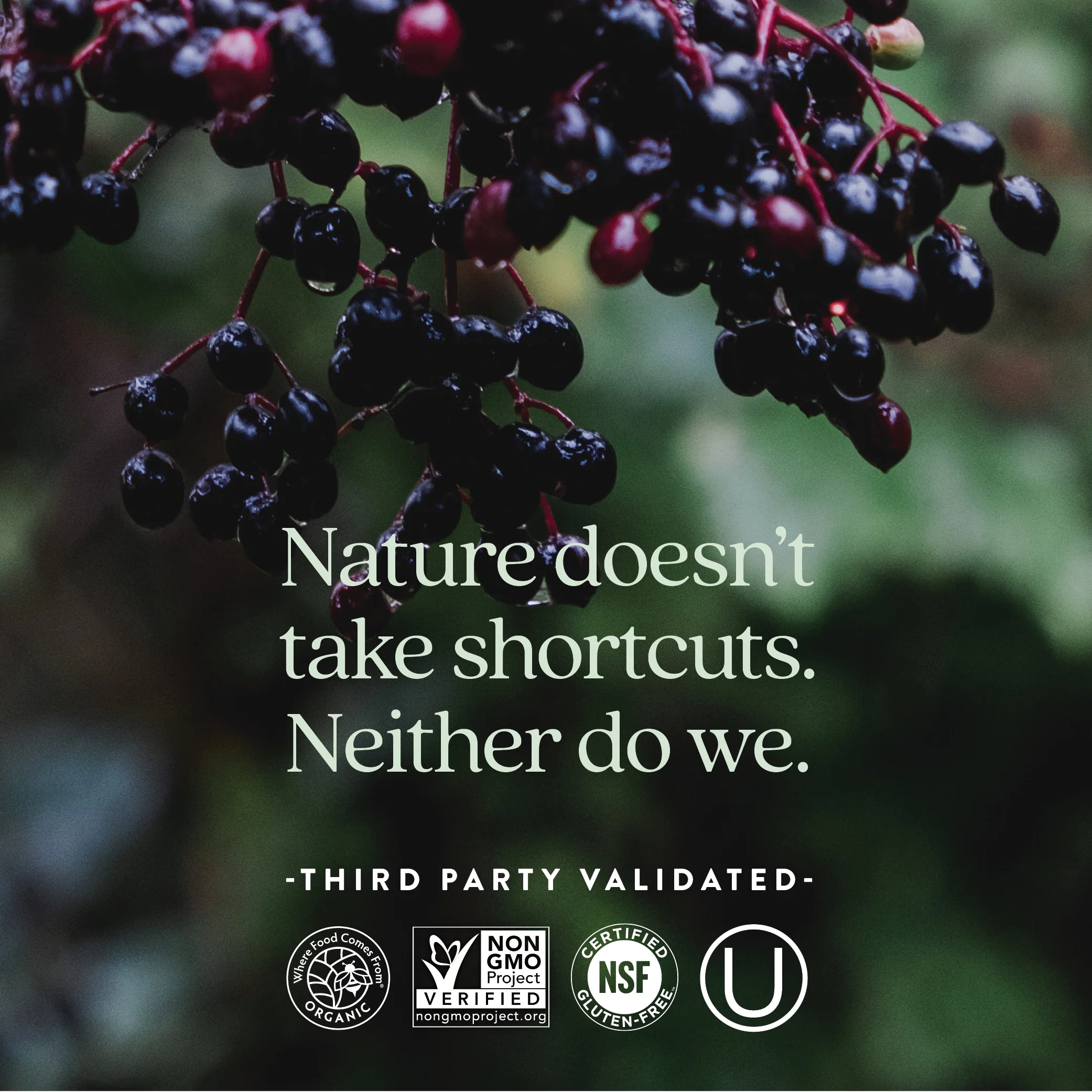 Every Woman™'s One Daily Multivitamin - Image 5