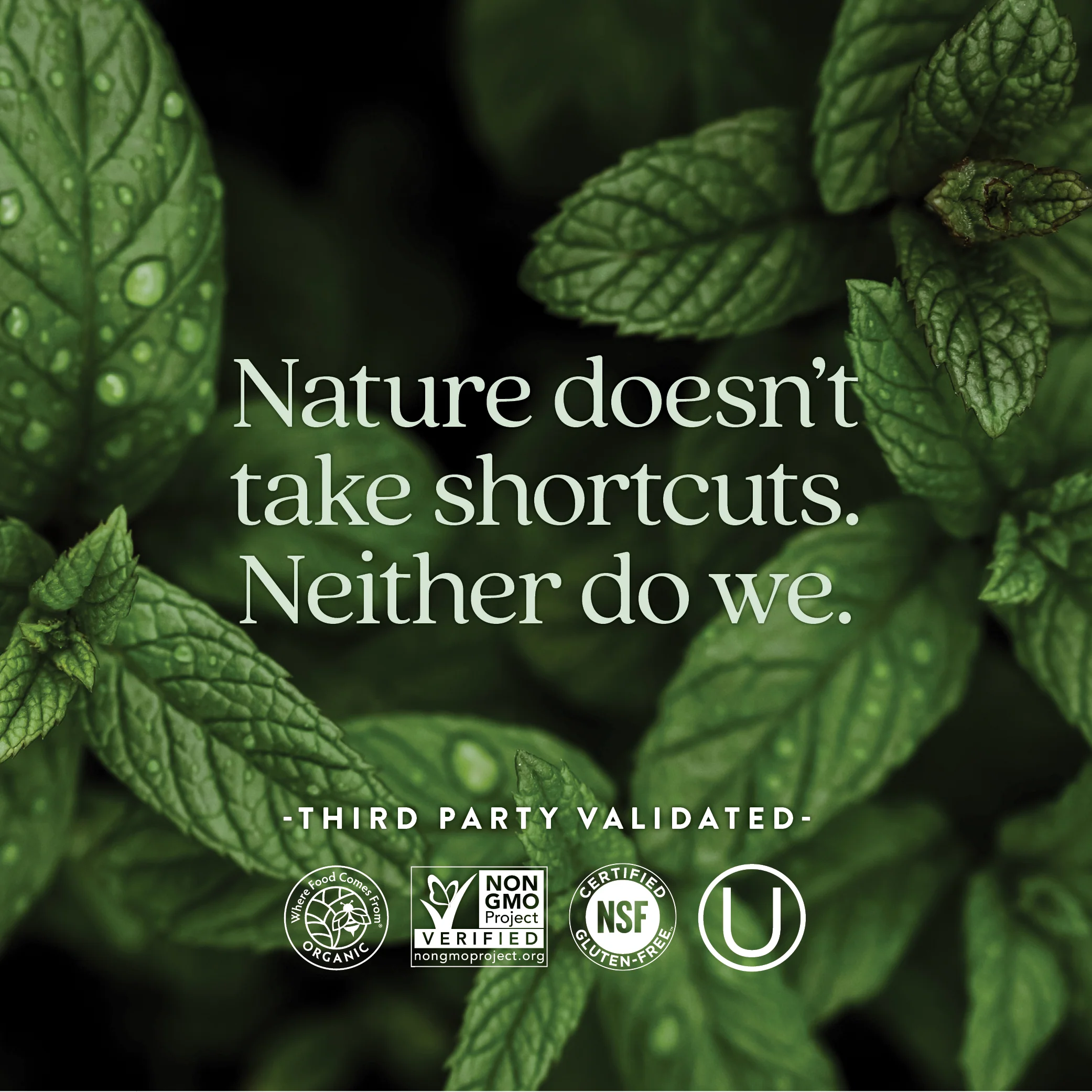 Every Woman™'s One Daily 55+ Multivitamin - Image 5