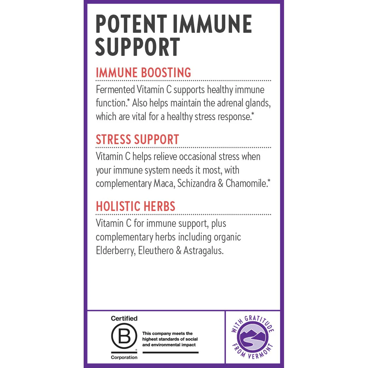Immune Defense Vitamin C + Elderberry - Image 6