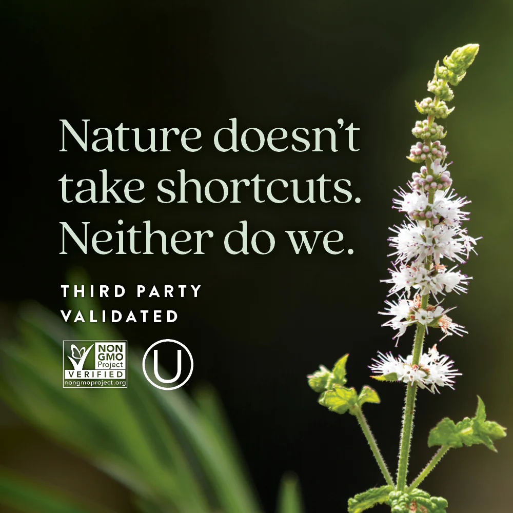 All-Flora™ Probiotic Menopause Balance - Image 5