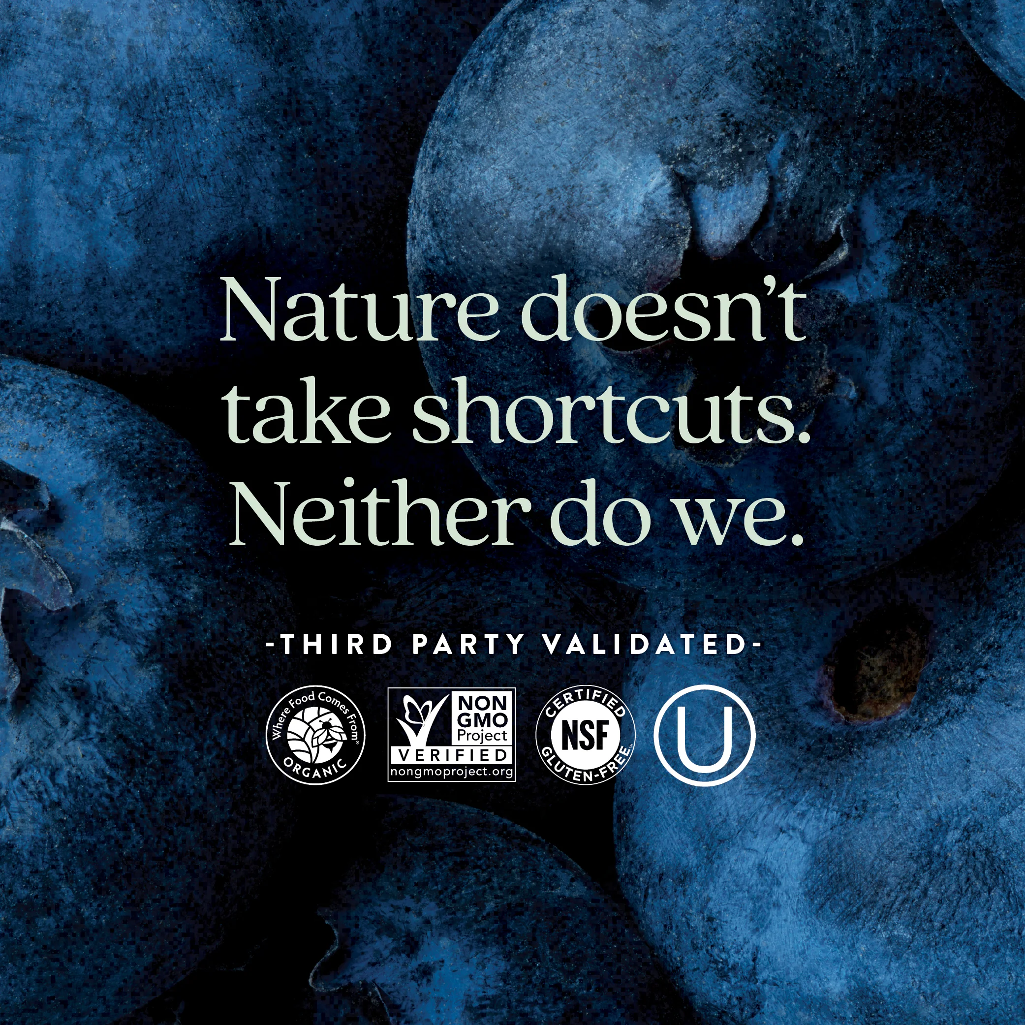 Advanced Perfect Prenatal Multivitamin - Image 5