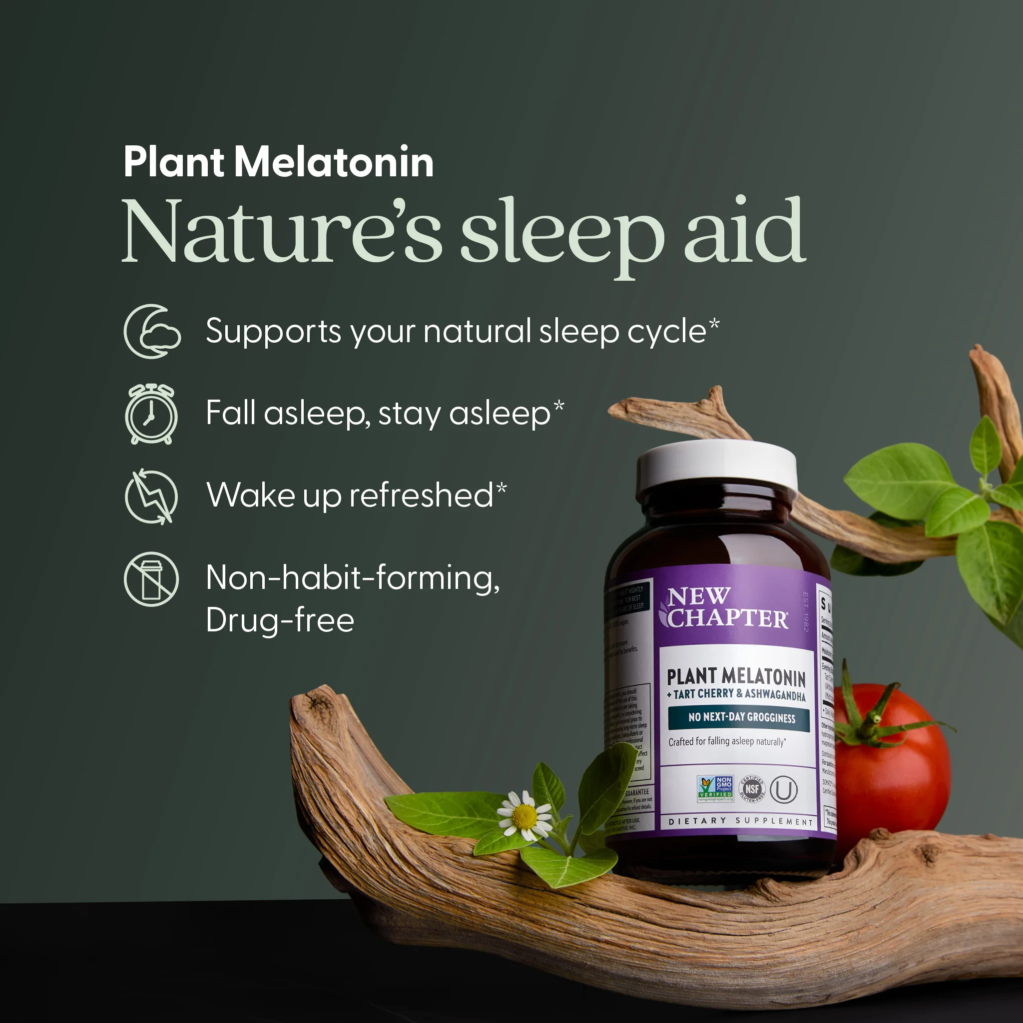 Plant Melatonin + Tart Cherry & Ashwagandha - Image 3