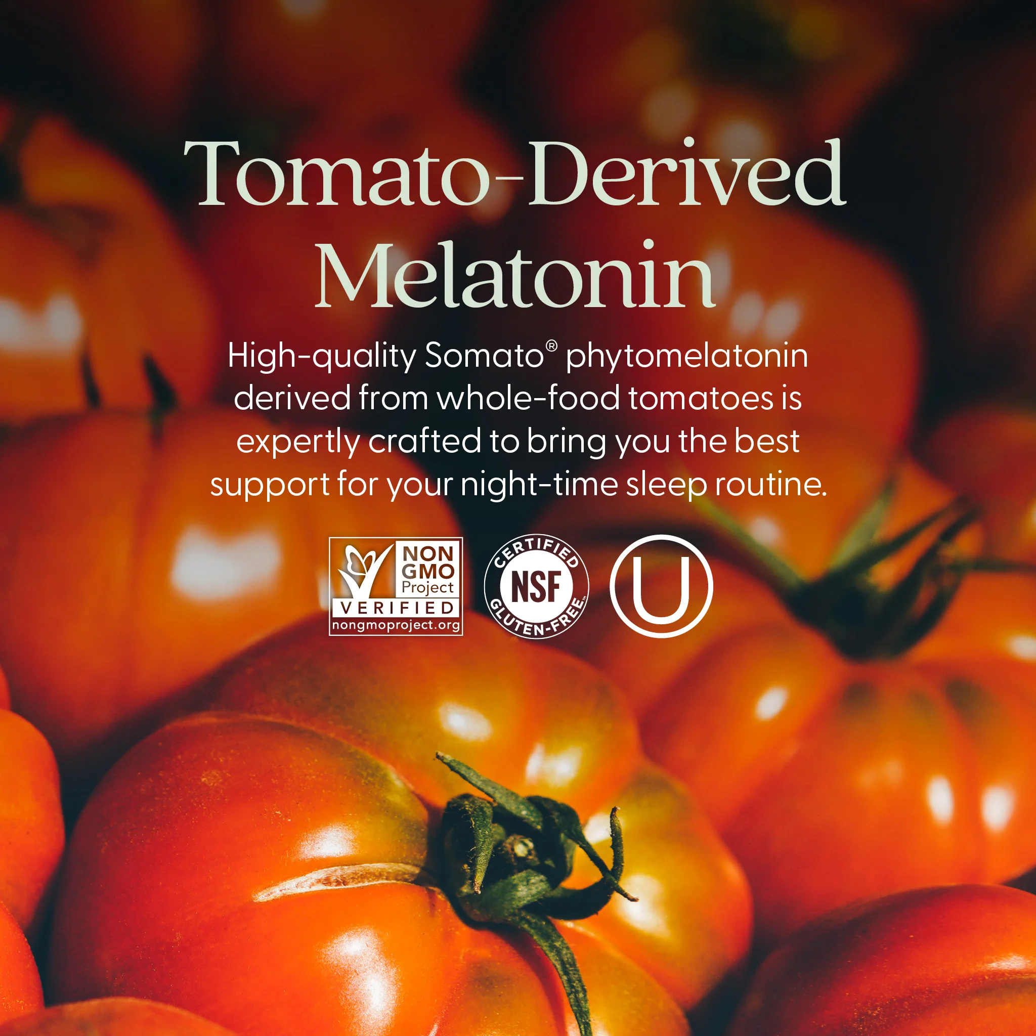 Plant Melatonin + Tart Cherry & Ashwagandha - Image 5