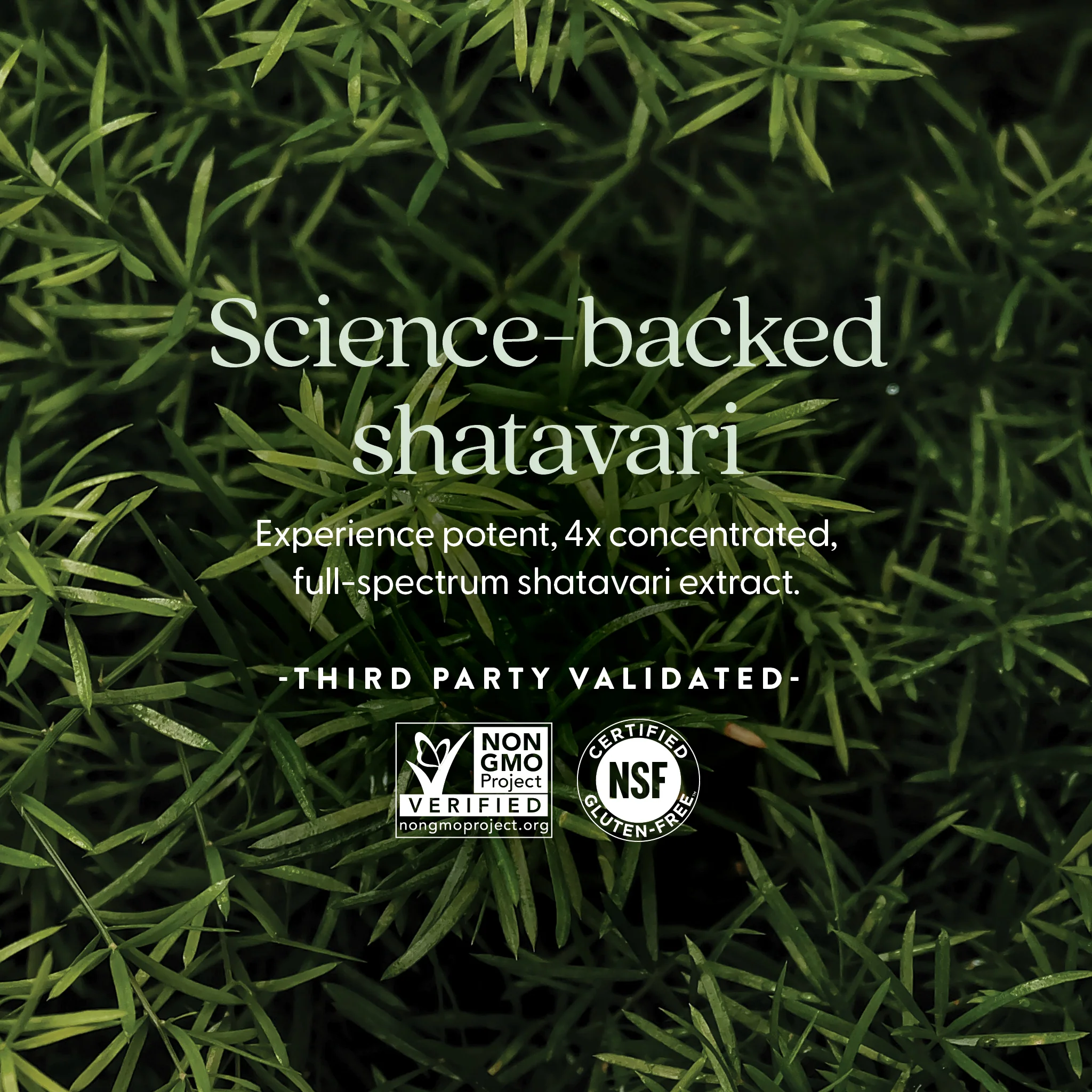 Shatavari Force™ - Image 4