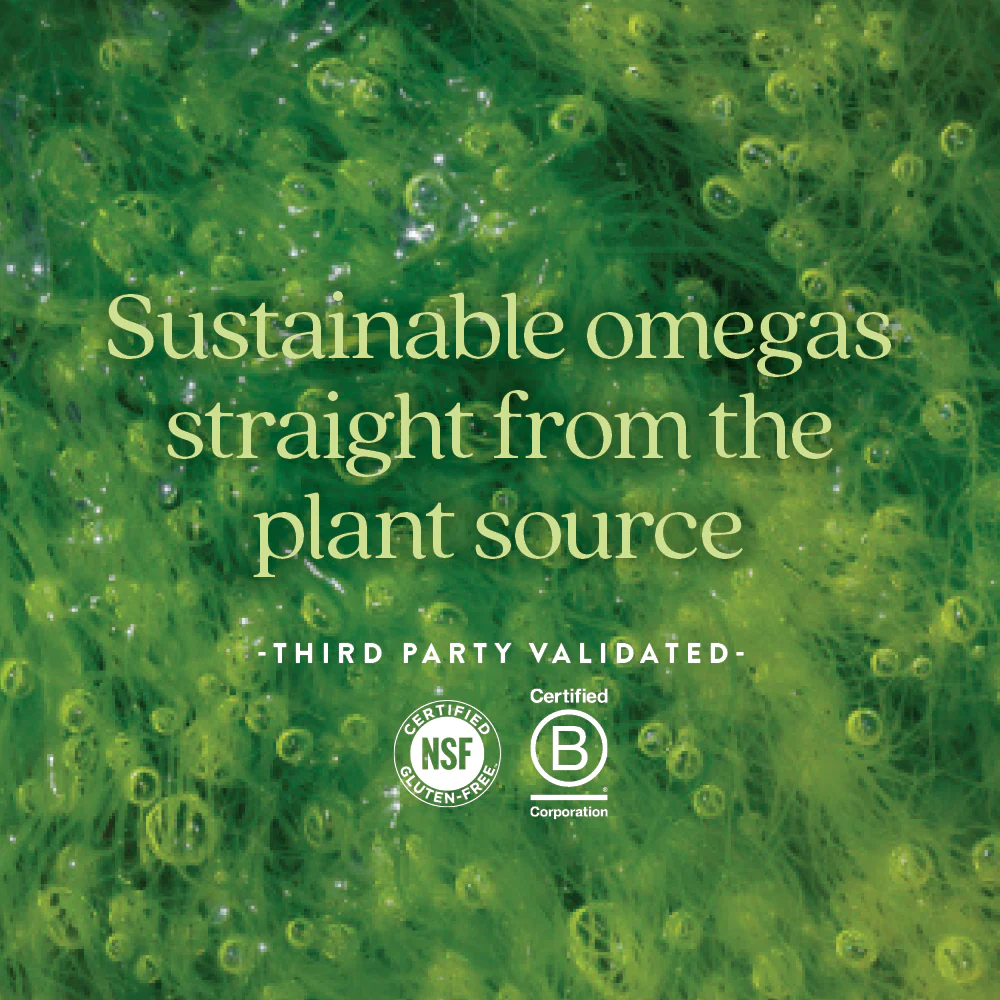 Vegan Omega-3 Complex - Image 5