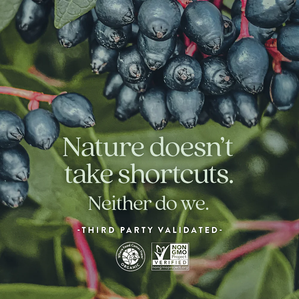 Women’s 50+ Multivitamin Gummies - Image 5