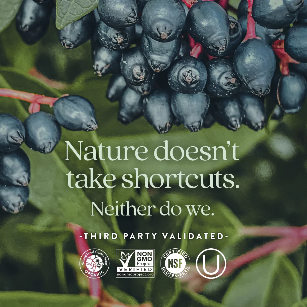 Fermented Zinc Complex - Image 5